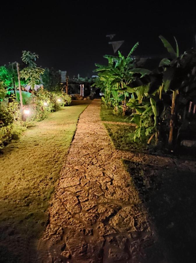 Guesthouse Vila Druri Dhërmi Dış mekan fotoğraf