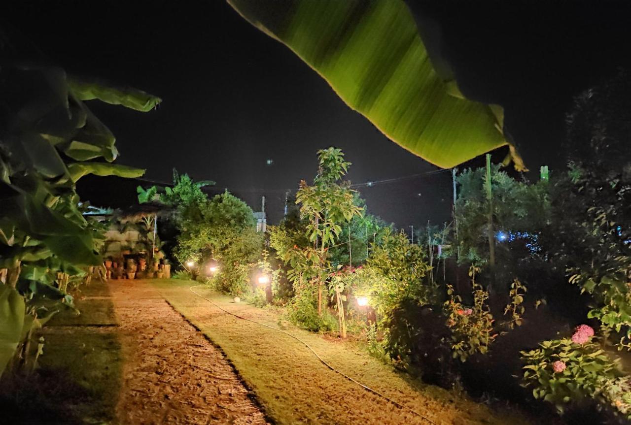 Guesthouse Vila Druri Dhërmi Dış mekan fotoğraf